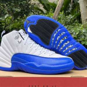 Air Jordan 12 'Blueberry' CT8013-140