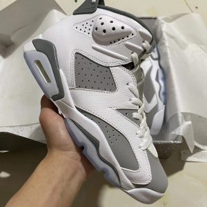 Air Jordan 6 Cool Grey