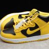 Nike Dunk High SP 'Iowa' 2020 CZ8149-002