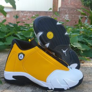 Air Jordan 14 New Color
