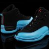 AIR JORDAN 12 GAMMA BLUE 201341-47